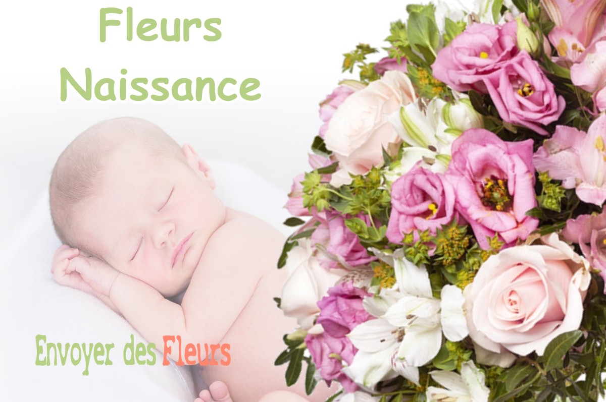 lIVRAISON FLEURS NAISSANCE à OFFLANGES